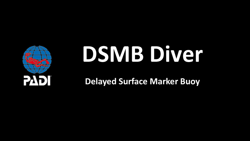 Spezialkurs Boje schiessen - PADI Delayed Surface Marker Buoy Diver